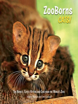 cover image of ZooBorns Cats!